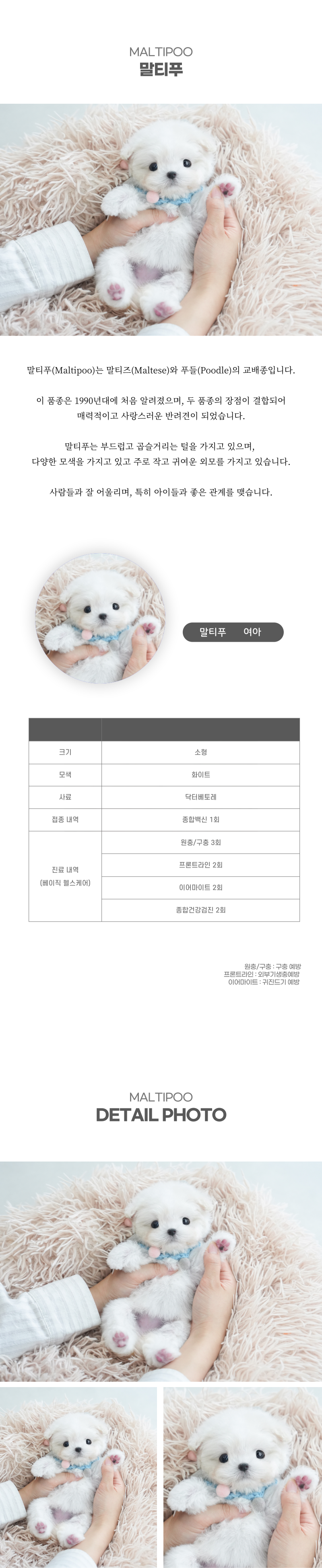 말티푸_상세이미지_2